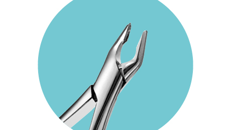 FAF150 Apical Forceps
