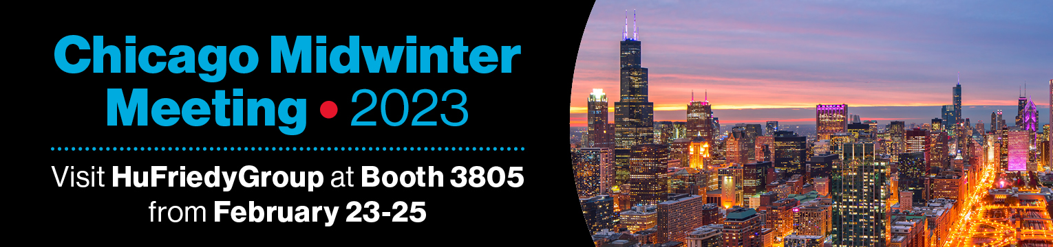 Chicago Midwinter